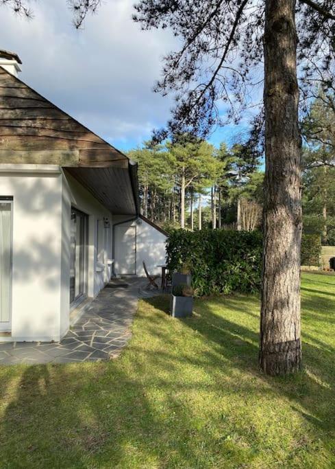 Le Rosa: Villa De Charme Entre Mer Et Pinede Quend Dış mekan fotoğraf