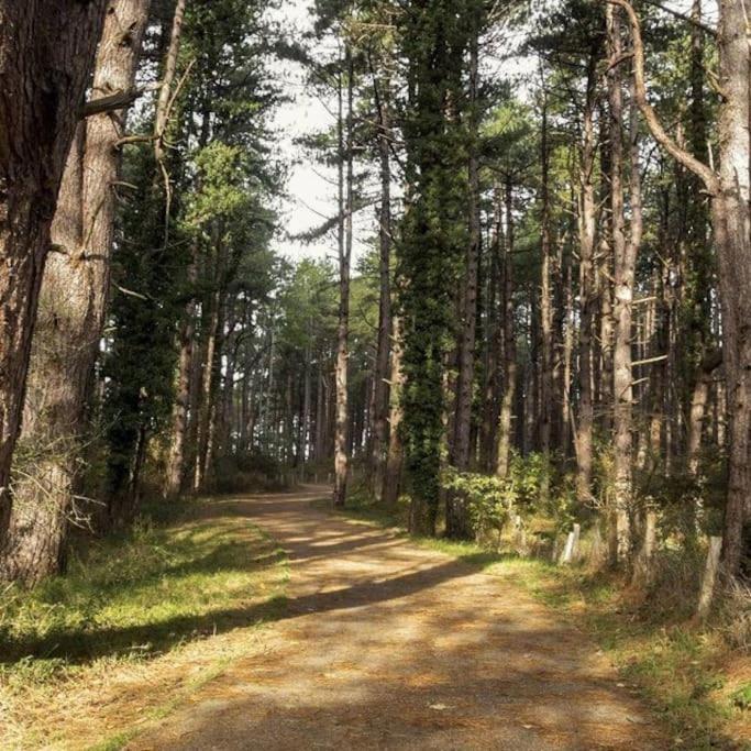 Le Rosa: Villa De Charme Entre Mer Et Pinede Quend Dış mekan fotoğraf